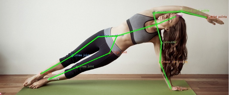 人体アクション行動認識